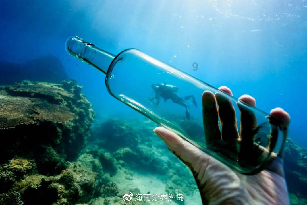 动物帮帮忙保卫家园